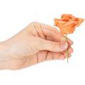 Künstliche Rosenblüte Orange 5 cm aus Schaumstoff im 100er-Set | Floristik24.ch