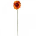 Floristik24 Künstliche Gerbera Blume, Kunstblume Orange Ø11cm 50cm