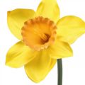 Floristik24 Künstliche Narzisse Seidenblume Gelb Osterglocke 59cm
