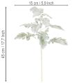 Künstlicher Senecio Zweig Kunststoff Silberblatt Greiskraut 45cm im 3er-Set | Floristik24.ch