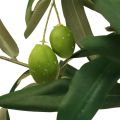 Floristik24 Künstlicher Olivenbaum im Topf Kunstpflanze Olive H63,5cm