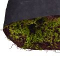 Künstliches Moos Große Moosmatte Braun Grün 100×50cm | Floristik24.ch