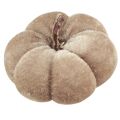 Kürbis Deko Stoffkürbisse Gelb Beige Rotbraun Ø7cm 9 St | Floristik24.ch