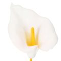 Kunstblume Calla Weiss mit