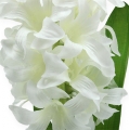 Floristik24 Seidenblumen Hyazinthe Weiß 33cm