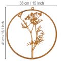 Metallring aus Edelrost mit Dillzweig-Motiv Ø38cm für Wand- und Fensterdekoration | Floristik24.ch