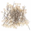 Floristik24 Perlkopfnadeln Metall Kunststoff Ø6mm 65mm Champagner für Floristik