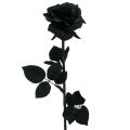 Floristik24 Rose Seidenblume Schwarz 63cm