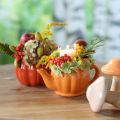 Floristik24 Übertopf Keramik Kürbis Pflanztopf Orange Ø9,5cm H6,5cm 4 St