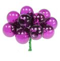 Floristik24 Spiegelbeeren Violett Mix Ø25mm 140St